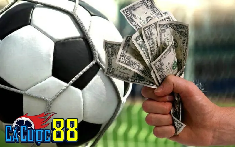 Nhận biết và đối phó với “tip nội gián giả”